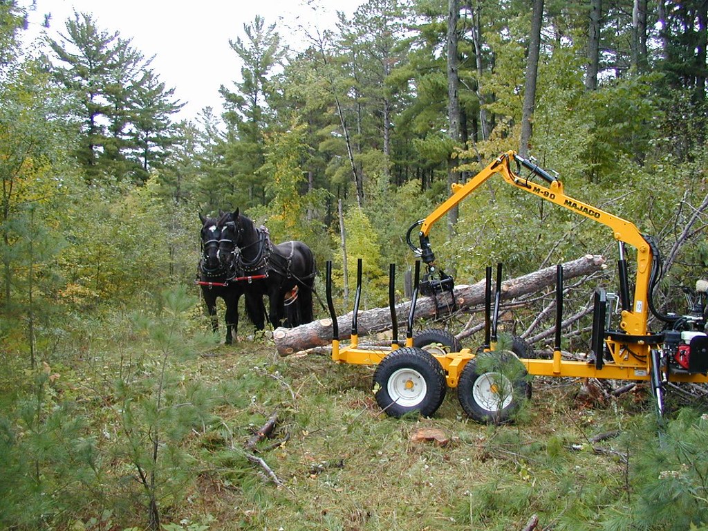 Horse logging and smallscale equipment demo, Grand Rapids MN a photo on Flickriver