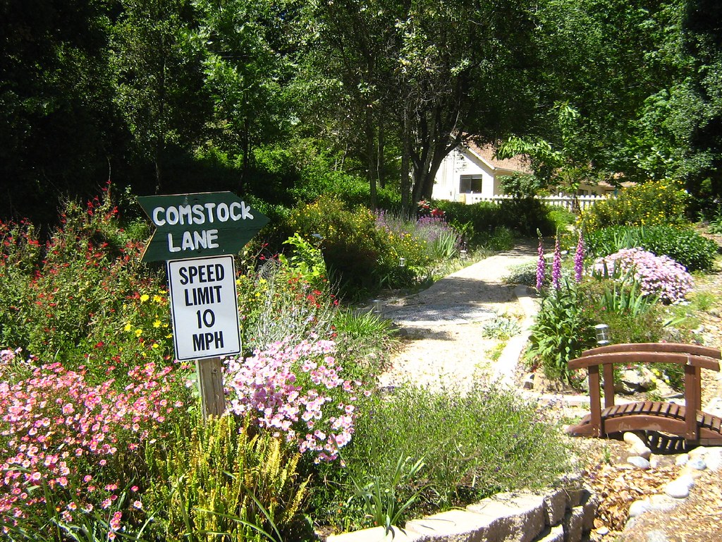 bosch gardens dragfyre Flickr