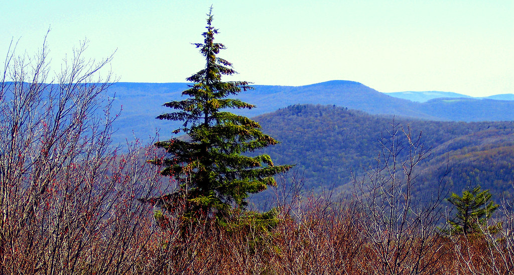 Elevation of Seneca Trail, Marlinton, WV, USA Topographic Map