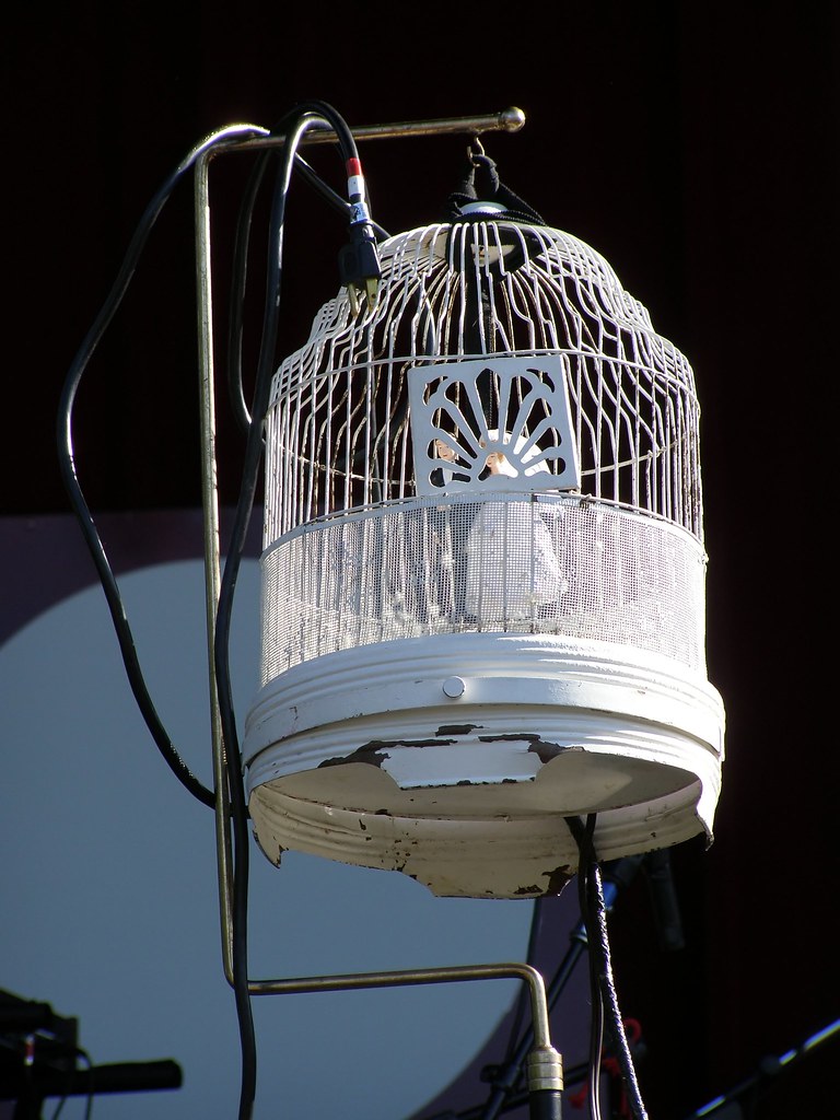 Cage Symbolism Yep, that's a husband and wife there. Victoria