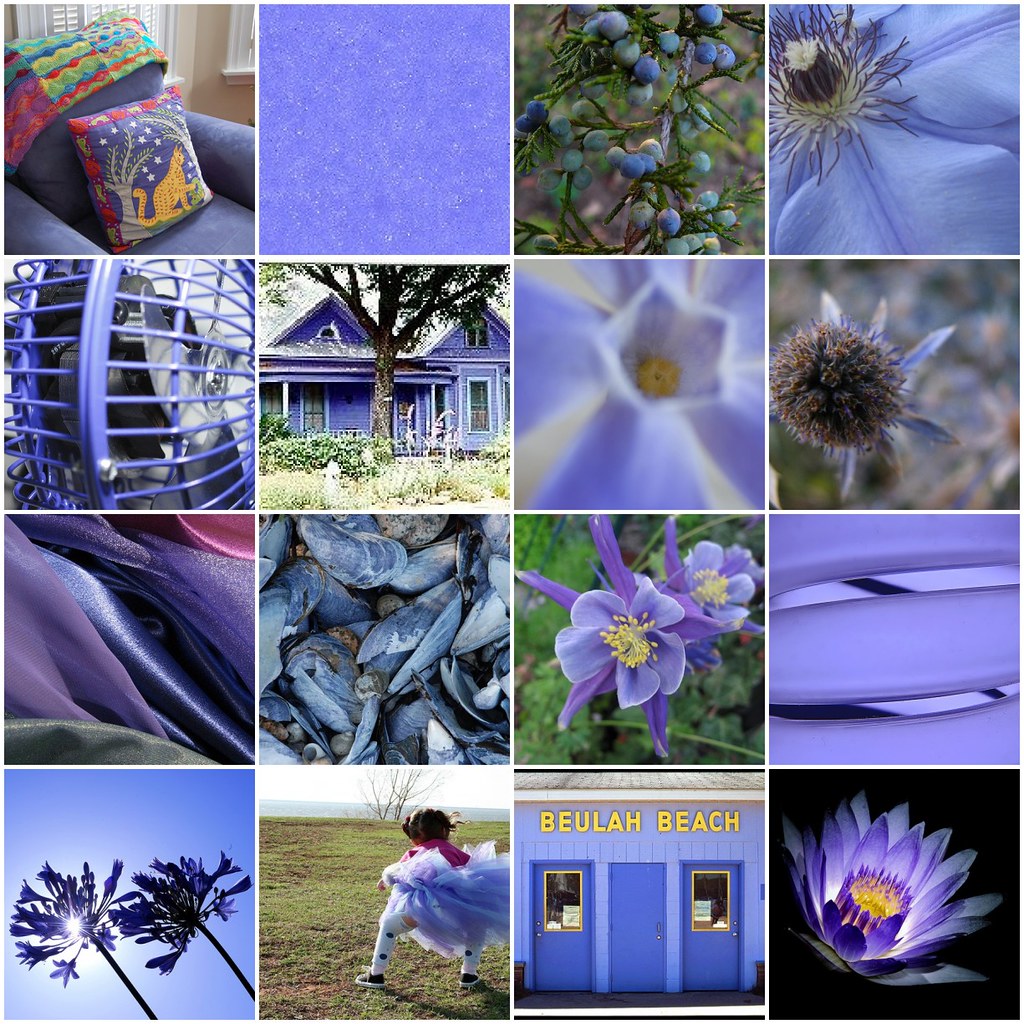 Periwinkle [Blue] Mosaic 1. Periwinkle at Home, 2. periwin… Flickr