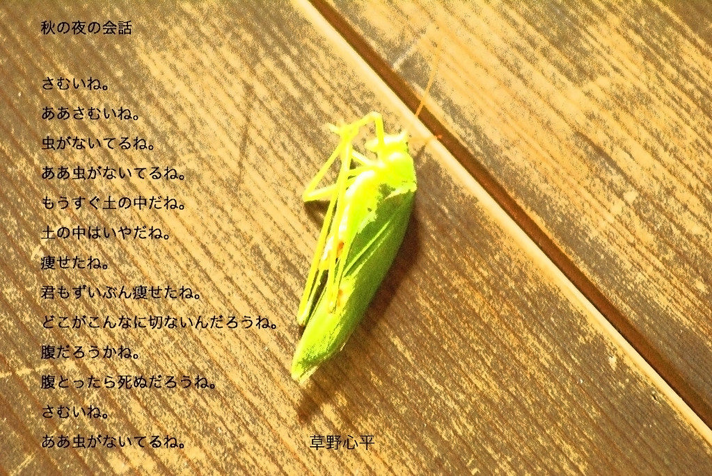 9781784100681: New Selected Poems Tanikawa, Shuntaro:.