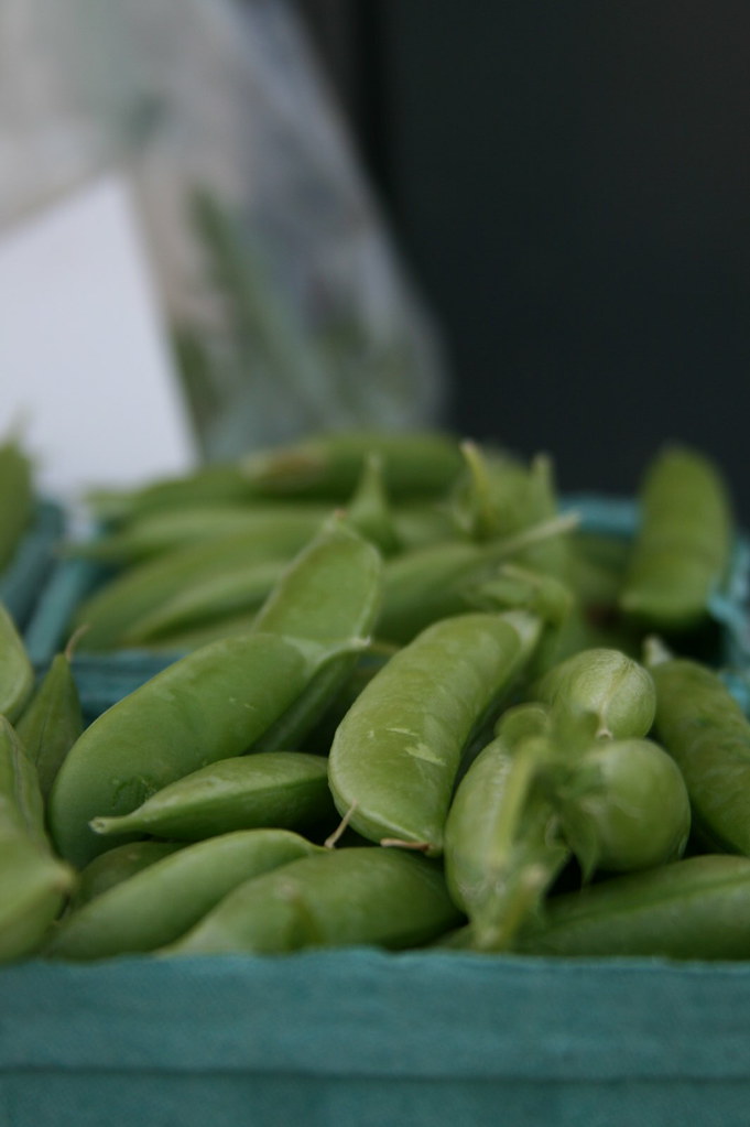 Sugar Snap Peas apparently you can eat the entire thing Spicy Bear Flickr