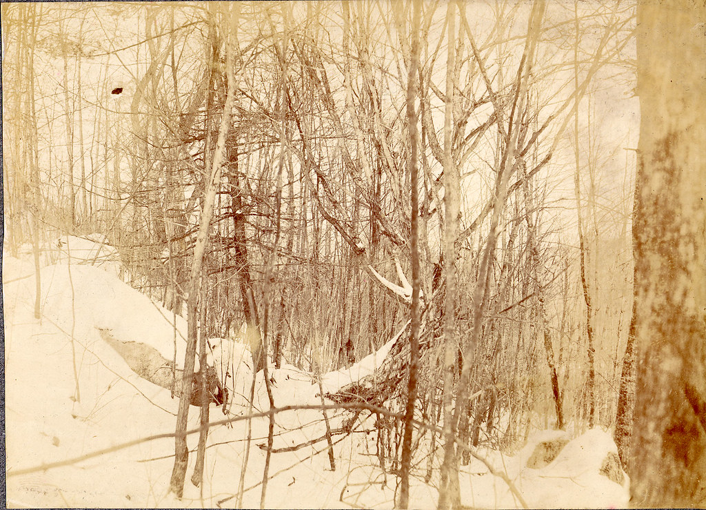 Hopedale Park, 1903 Title Hopedale Park photograph Date … Flickr