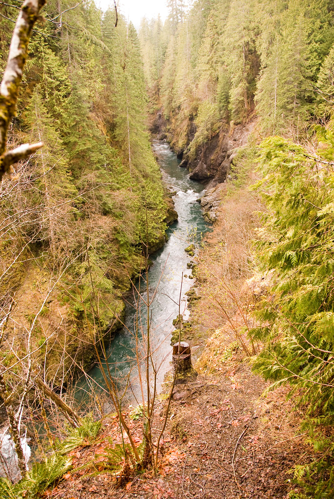 20080404_WYNOOCHEE_009.jpg Wynoochee River Canyon, Washing… Flickr