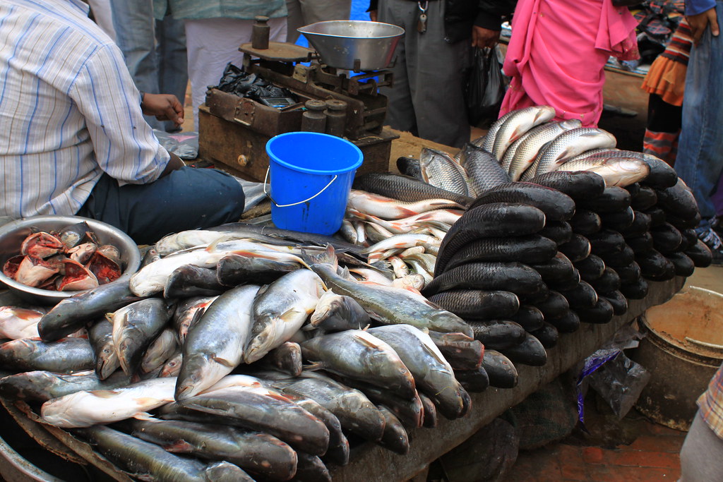 Fresh fish in the heat... Patan / Lalitpur, Kathmandu vall… Flickr