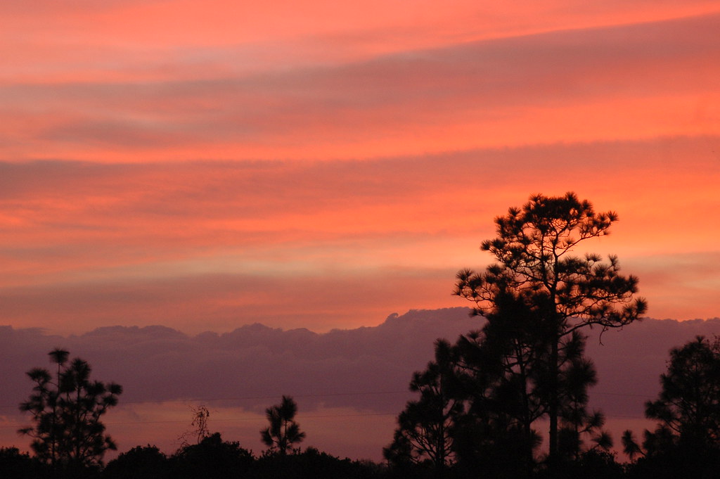 Venus Florida sunset I was up in Venus for an all night As… Flickr