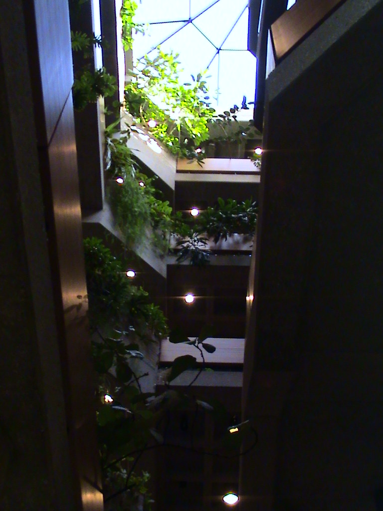 Atrium Western Illinois University Libraries Flickr