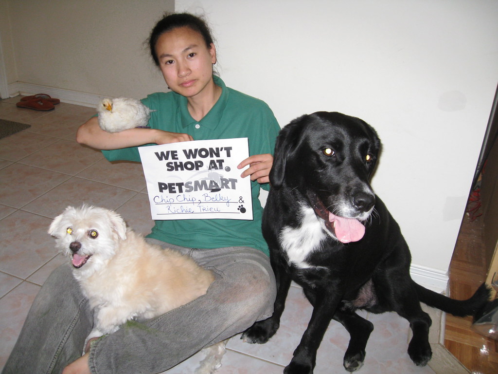 Does Petsmart Get Dogs From Puppy Mills