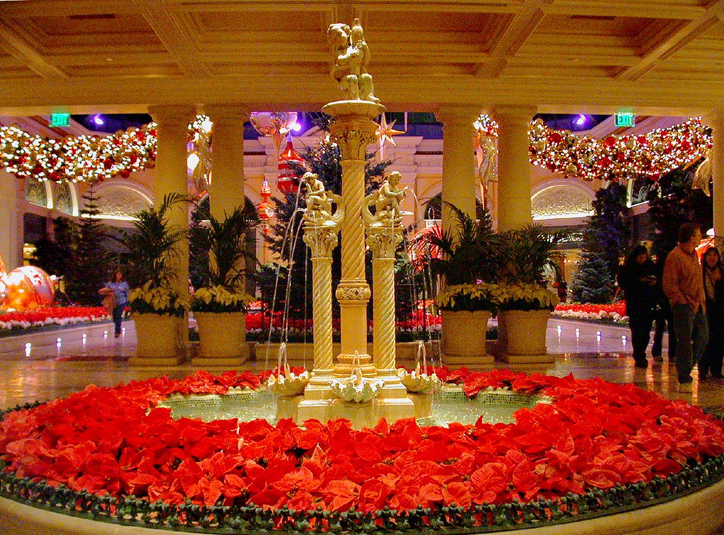 Bellagio Fountain at Christmas A fountain in one of the ma… Flickr