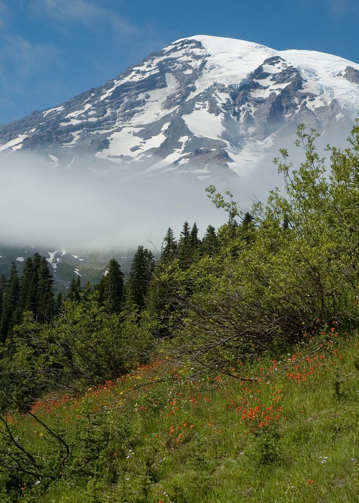 Summer at Mt Rainier July 30, 2007, Mt Rainier National Pa… Jim