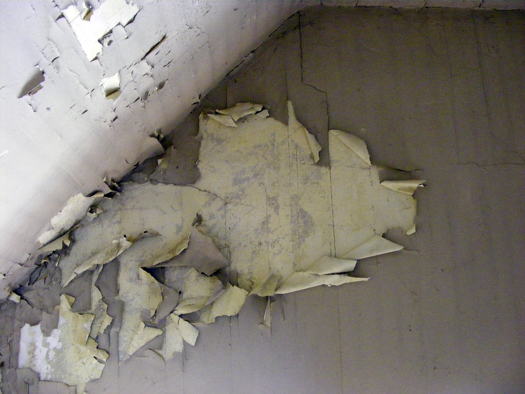 peeling wallpaper Just what the title says. Old, peeling w… Flickr