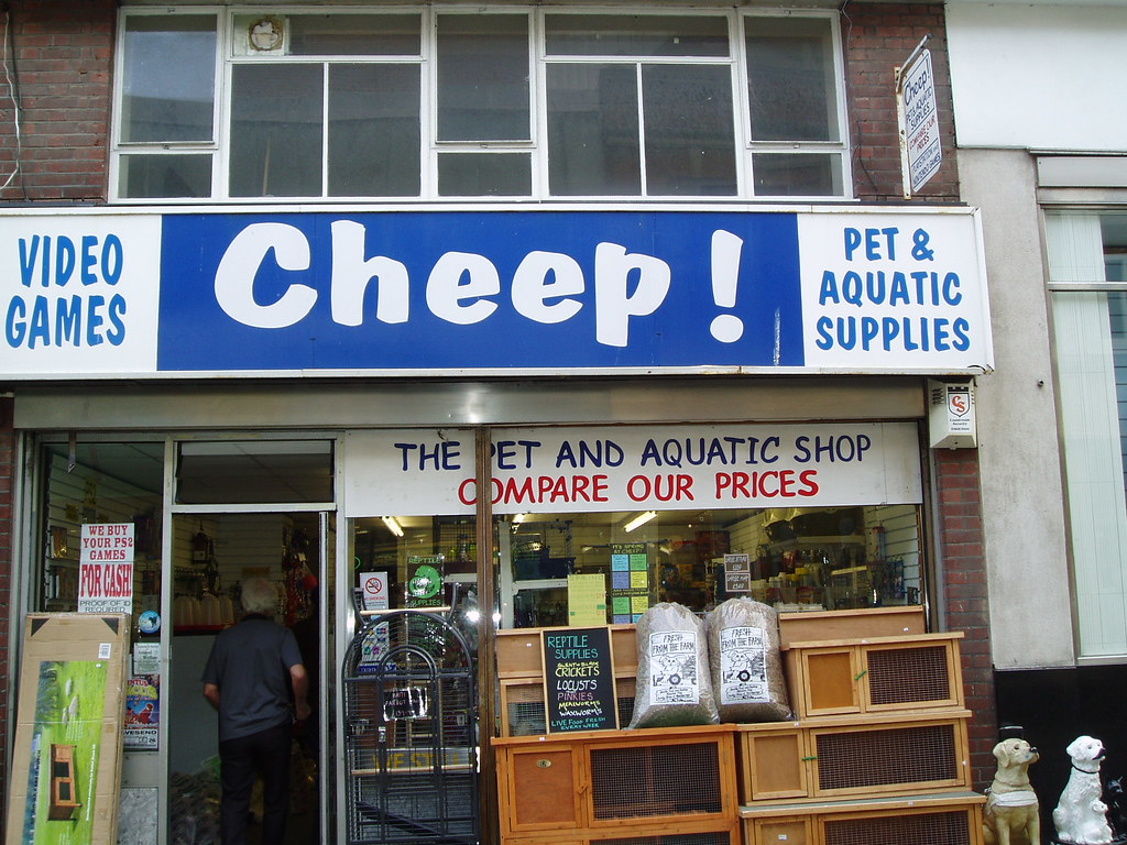 Pet shop in Gravesend amy's antics Flickr