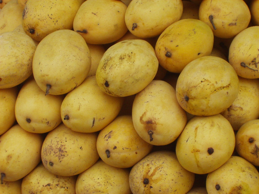 Philippine Mangoes the best in the world Health Benefits… Flickr