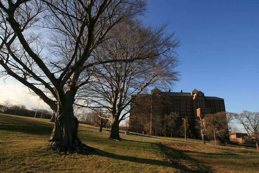 King's Park Asylum Kris Long Flickr