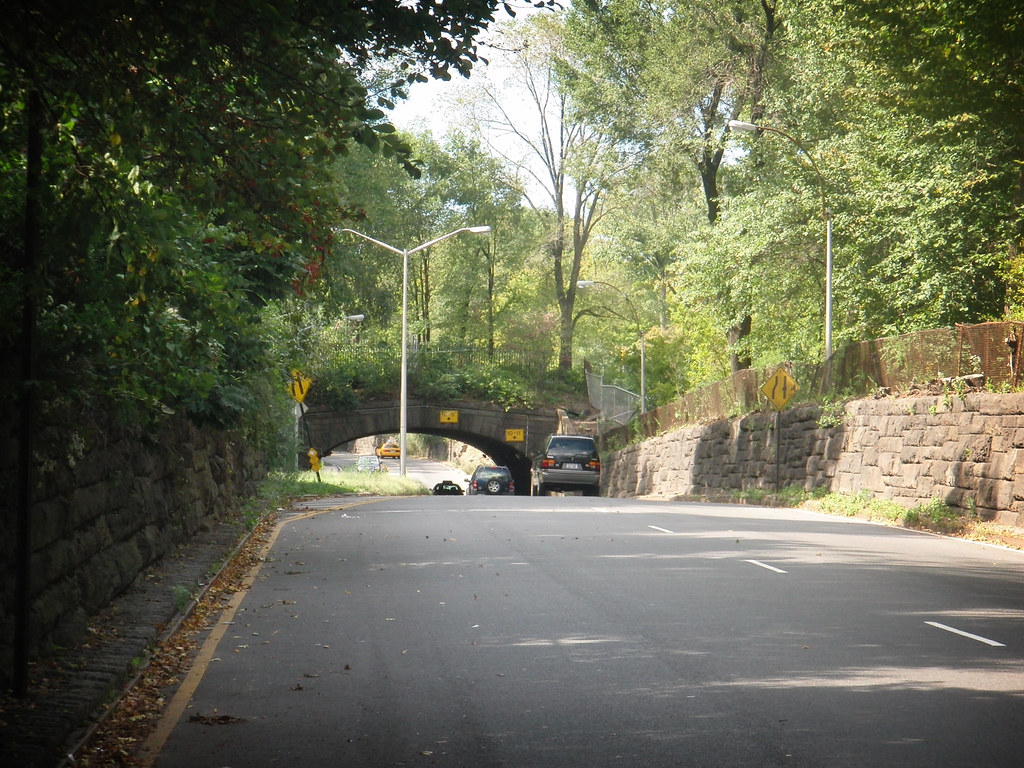 00548 copia New York Central Park DAVID BURILLO Flickr