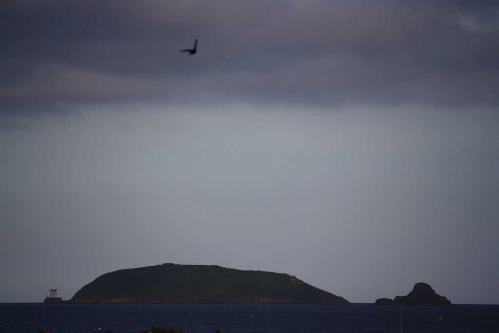 La baleine et l'oiseau ds547 Make a photograph that featu… Flickr