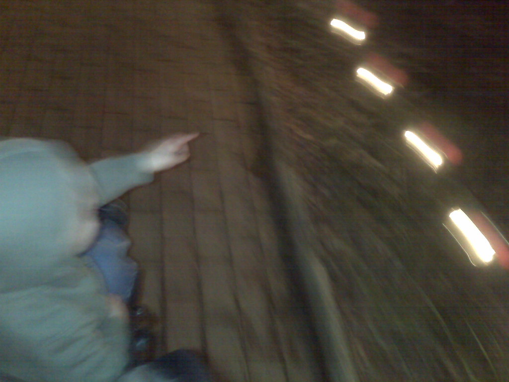 Hopeland Gardens Christmas Lights Hopeland Gardens 2007 Christmas Lights Stephen Sullivan Sr Flickr