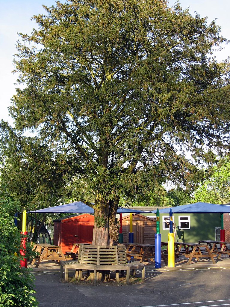 Shepeau Stow school 008 Shepeau Stow Flickr