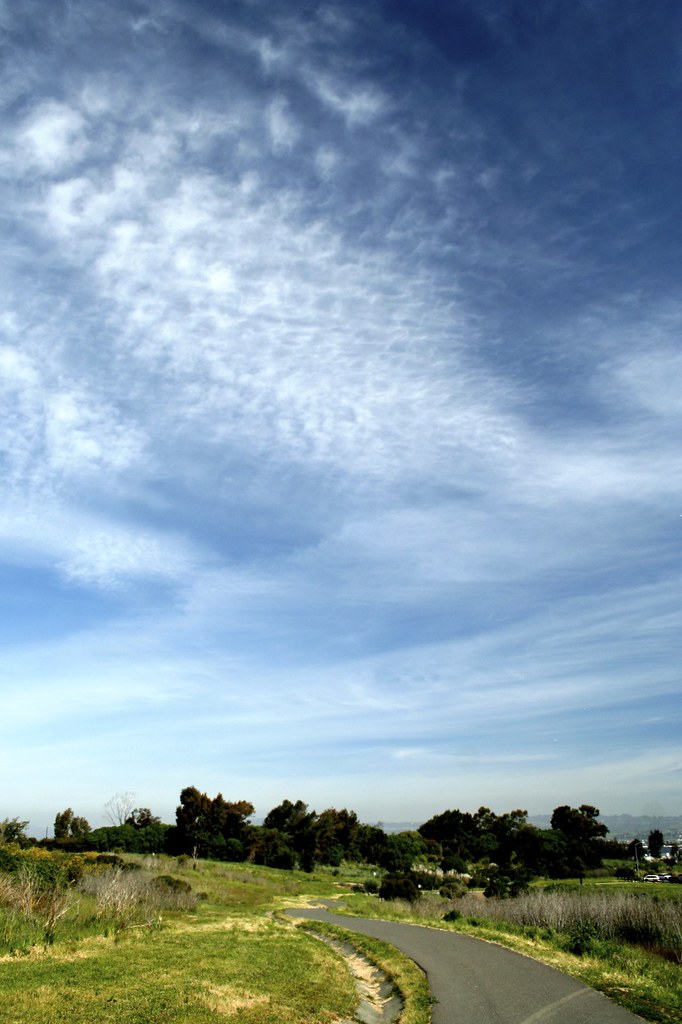 Oyster Bay Oyster Bay Regional Shoreline, San Leandro Frank Jones