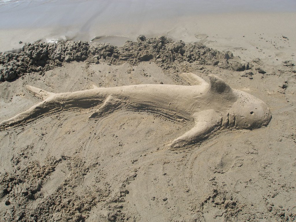 Shark made out of sand Jimmys Daskalakis Flickr