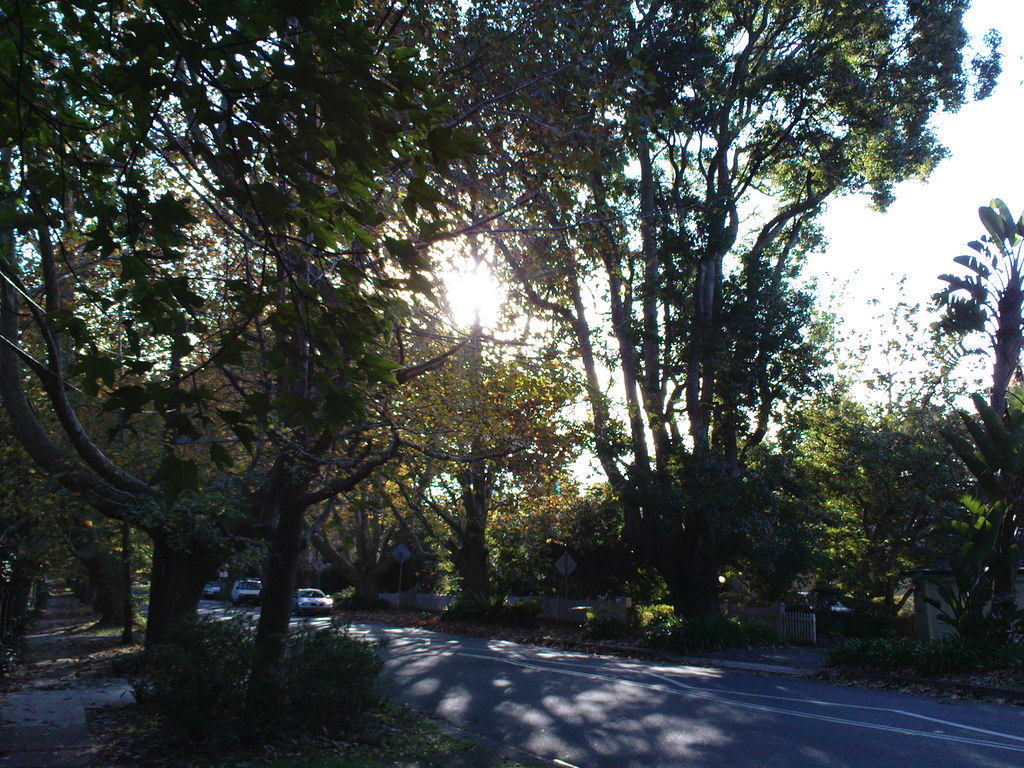 Burns Road, Wahroonga Uploaded with the Flock Browser Flickr