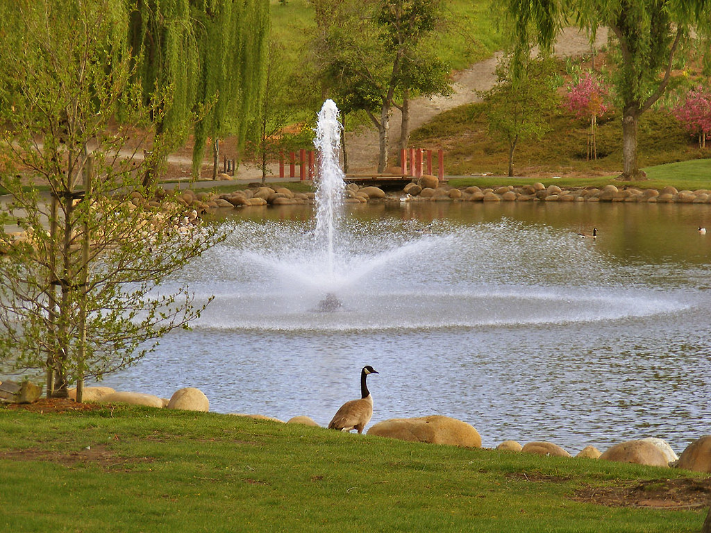 Oak Hill Park Danville Danville’s (California) oasis fro… Flickr