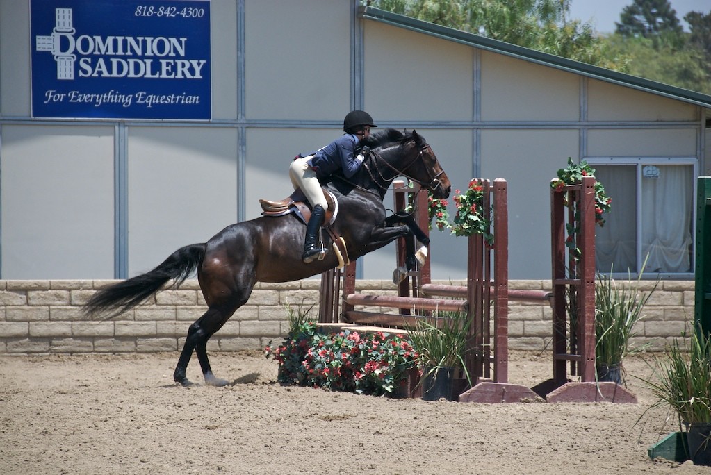 DSC_6385.jpg LA Equestrian Center Burbank, CA 61607 RJ Flickr