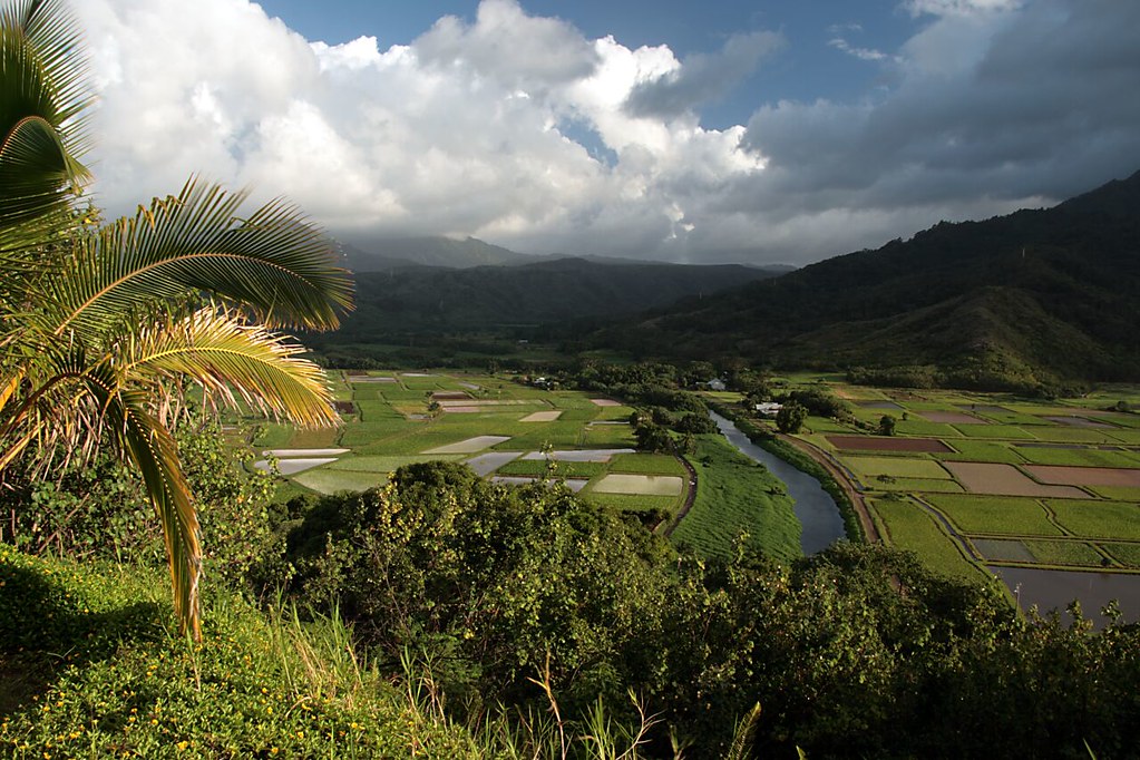 0709F31 Hanalei Valley on Kauai, Hawaii, glowing in the su… Flickr