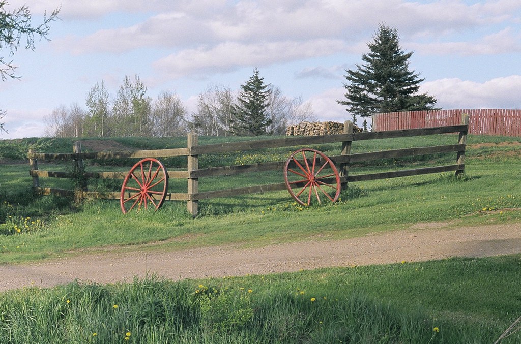 Frosty Hollow Sackville, NBCanada, taken with Zorki 4 / In… Flickr