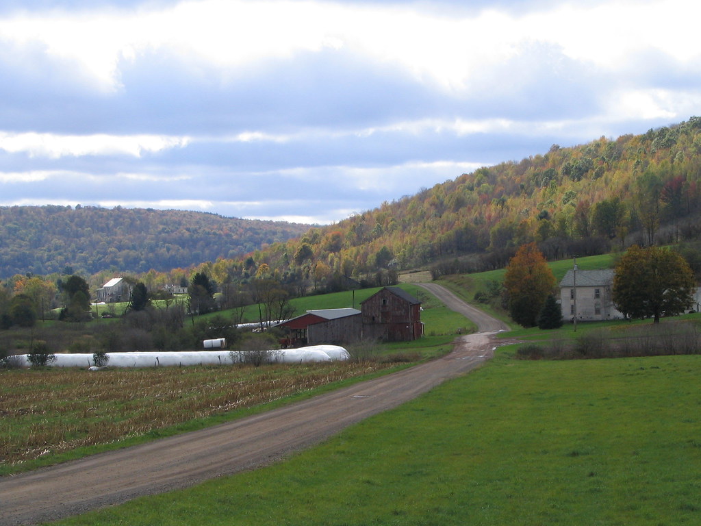 Elevation of Thoroughbred Rd, Walton, NY, USA Topographic Map
