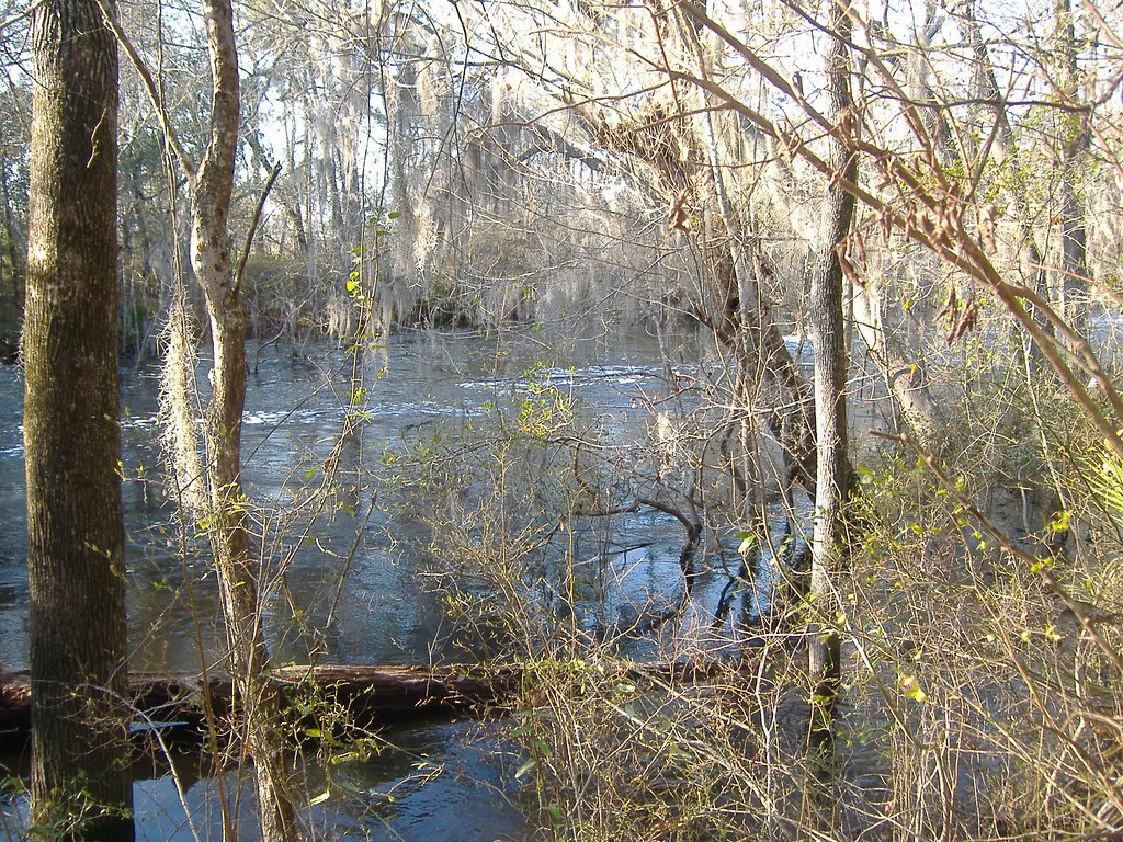 riverhigh2 The Alapaha River in south Neeks Flickr