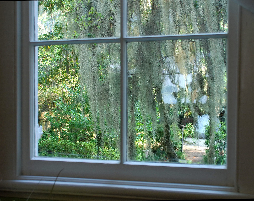 Window Beaufort Ted Henderer Flickr