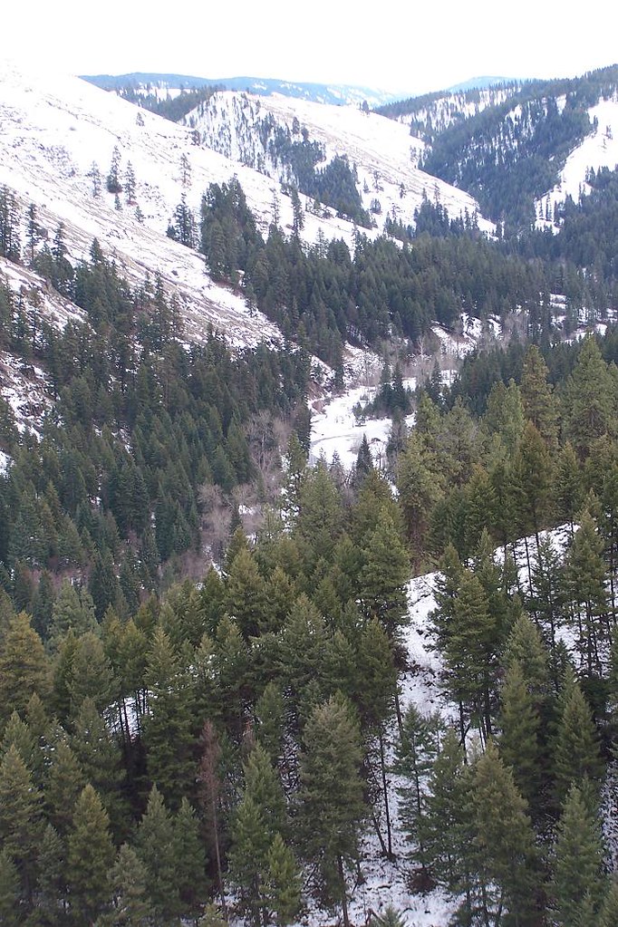 Elevation of Thompson Rd, Elgin, OR, USA Topographic Map Altitude Map