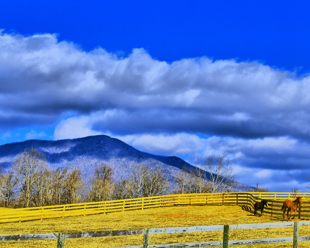 Rose Hill Farm Bedford Va God forbid that I should go to a… Flickr