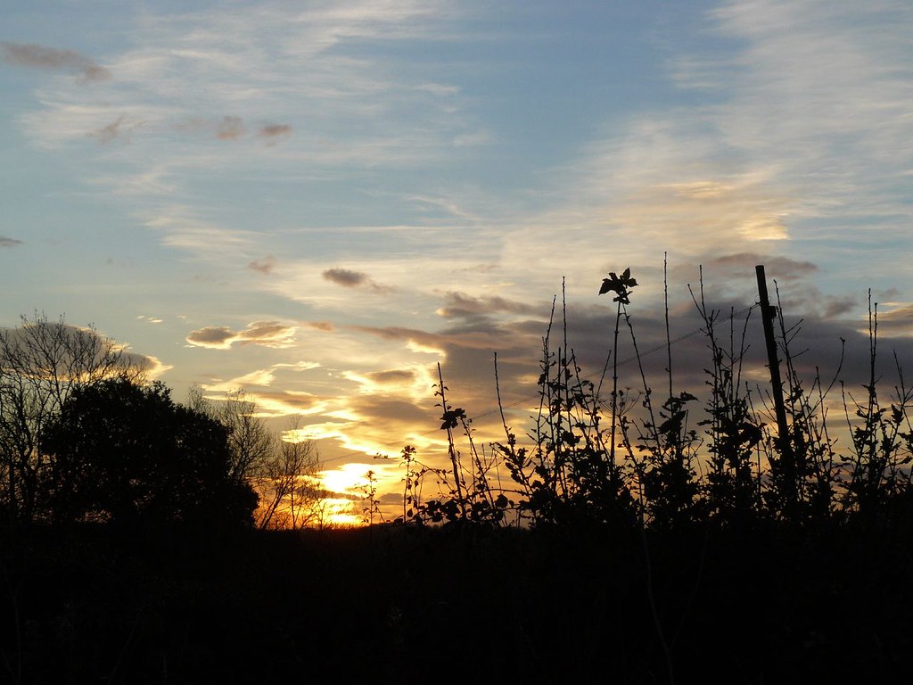 Dawn over Stanley Common, Derbyshire Richard Miller Flickr