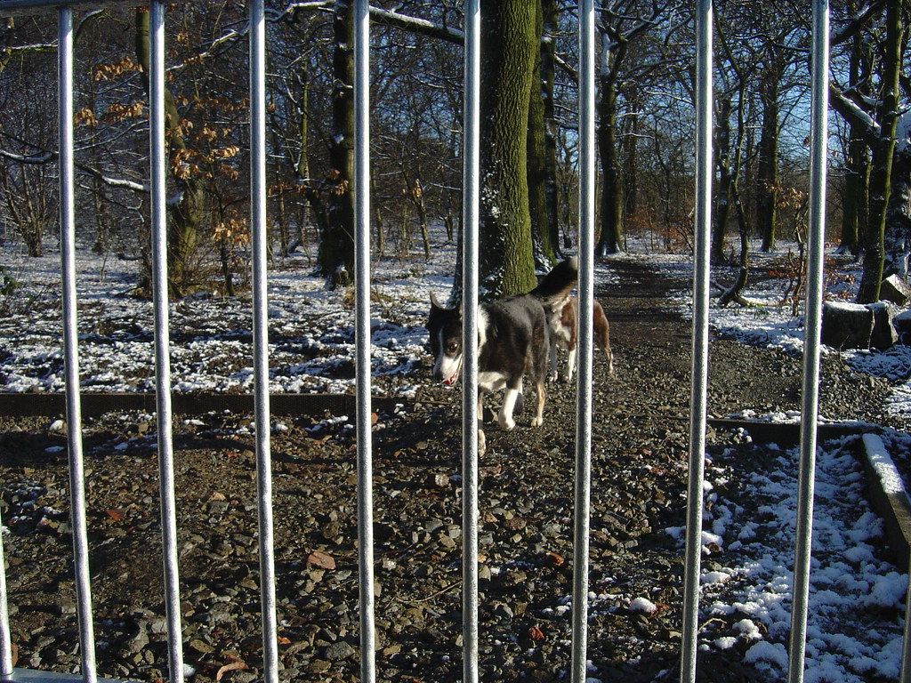 clarence park lido, bury, england, taken by mrwheezemsn.c… Flickr