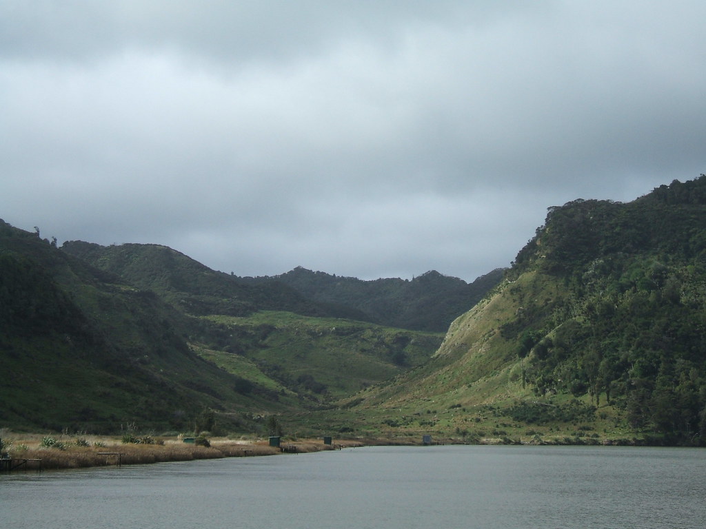 394 Whitebait stands on the Mokau River Spinning Yogini Flickr
