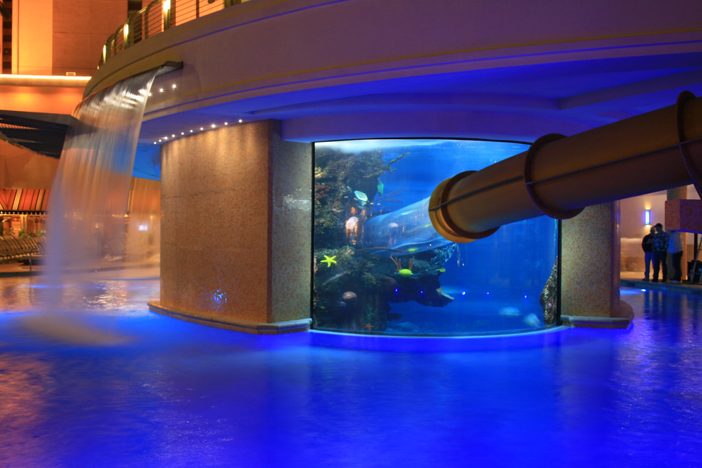 Swimming pool / Aquarium at the Golden Nugget in Las Vegas… Flickr