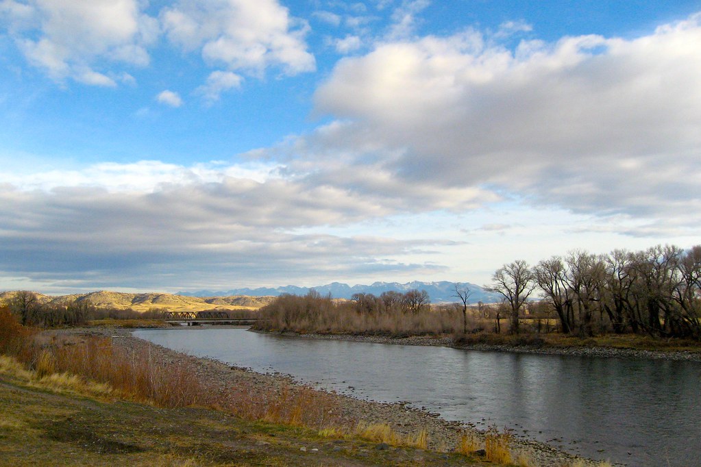 One Edge of the Livingston Dog Park It's called the Yellow… Flickr