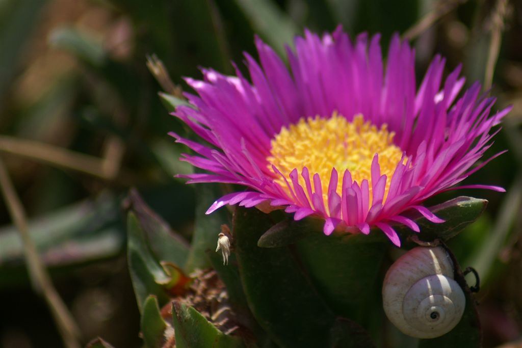 PICT7807 Yehuda Cohen Flickr