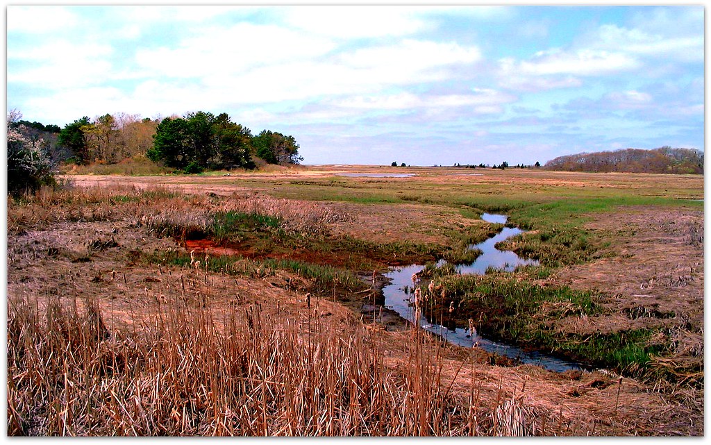 Hiking in the Audubon Preserve, Eastham, Cape Cod, Massach… Flickr