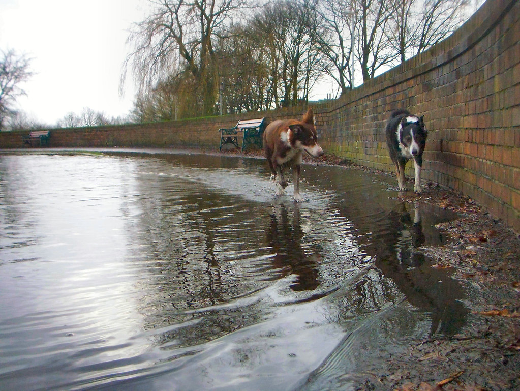 clarence park lido, bury, england, taken by mrwheezemsn.c… Flickr