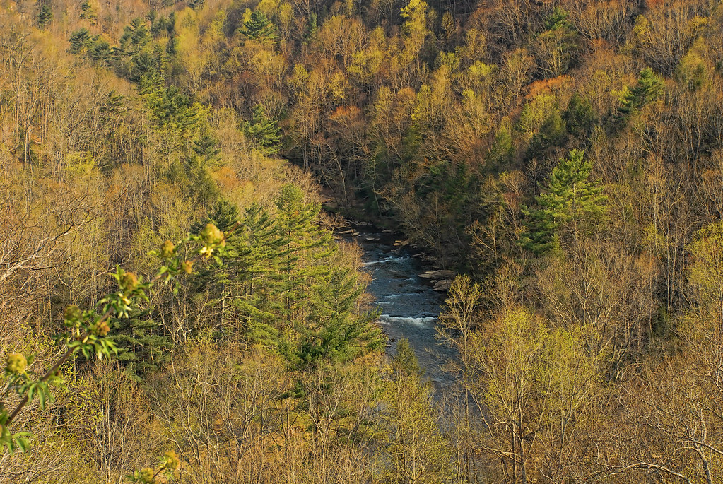 Scenic Overlook West Virginia Consisting of nearly 5,300… Flickr