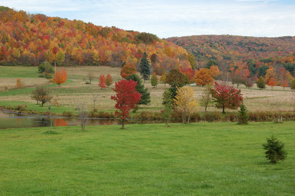 Quaker Lake Colors Allegany State Park, NY Oct 2007 Flickr