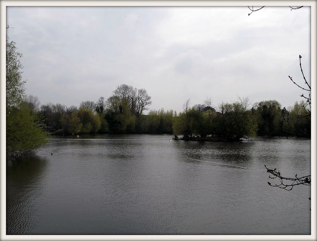 Rochford Reservoir Essex UK FlickrCrazy Guy Flickr
