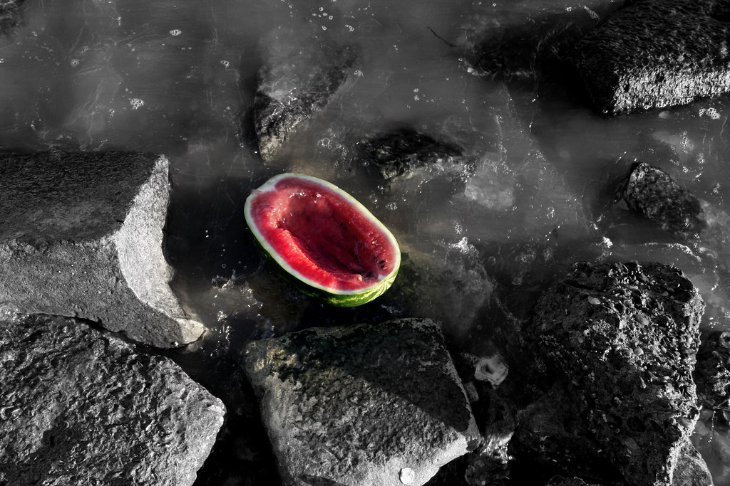 Where the Watermelons Grow Down by the bay... eflon Flickr