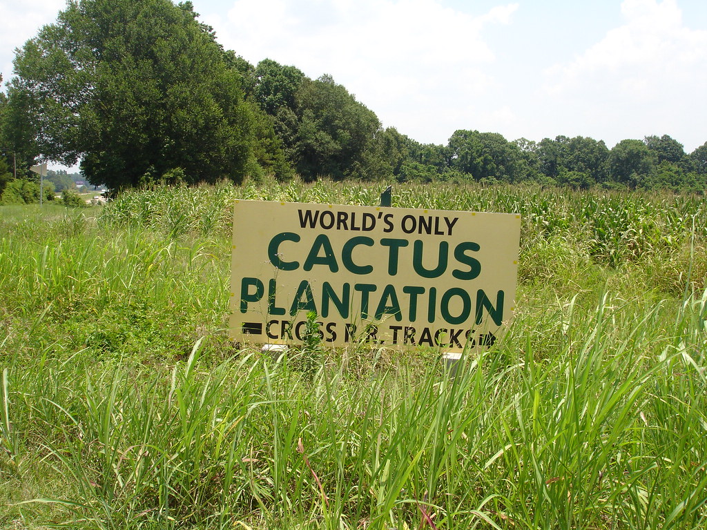 Sign to World's Only Cactus Plantation, Edwards MS Flickr