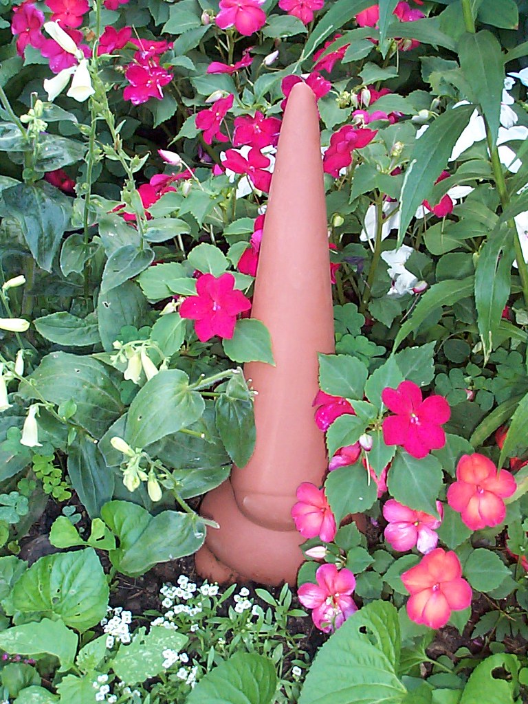 Gnome Ikea gnome in garden A2ZMpls Flickr