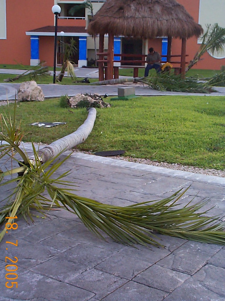 DCP00491 Tom Pfeifer Flickr